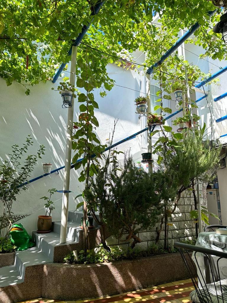 Vila Katica Bribir  Bagian luar foto
